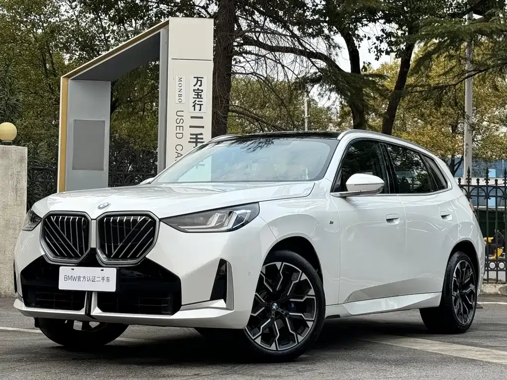 BMW X3 2025 из CN, фото 1
