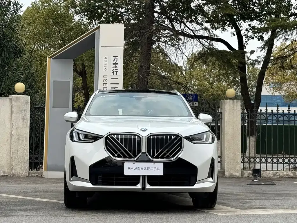 BMW X3 2025 из CN, фото 9