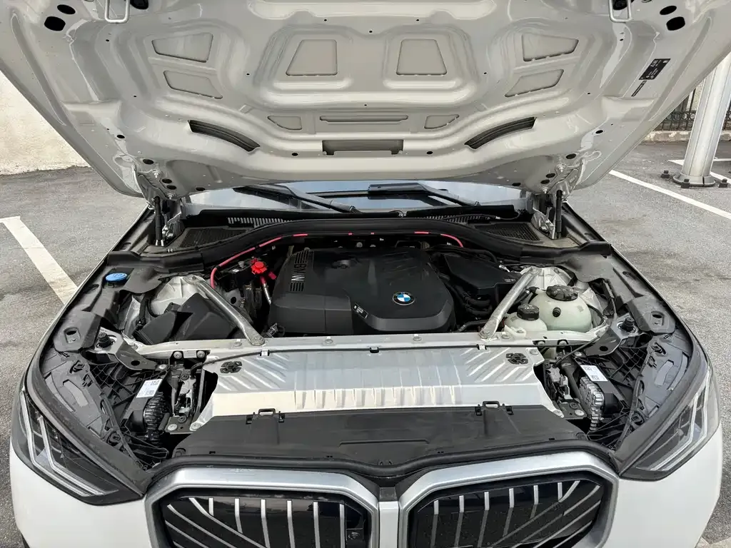BMW X3 2025 из CN, фото 6