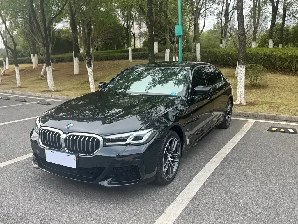 BMW 5 Series 2022 из CN, фото 1