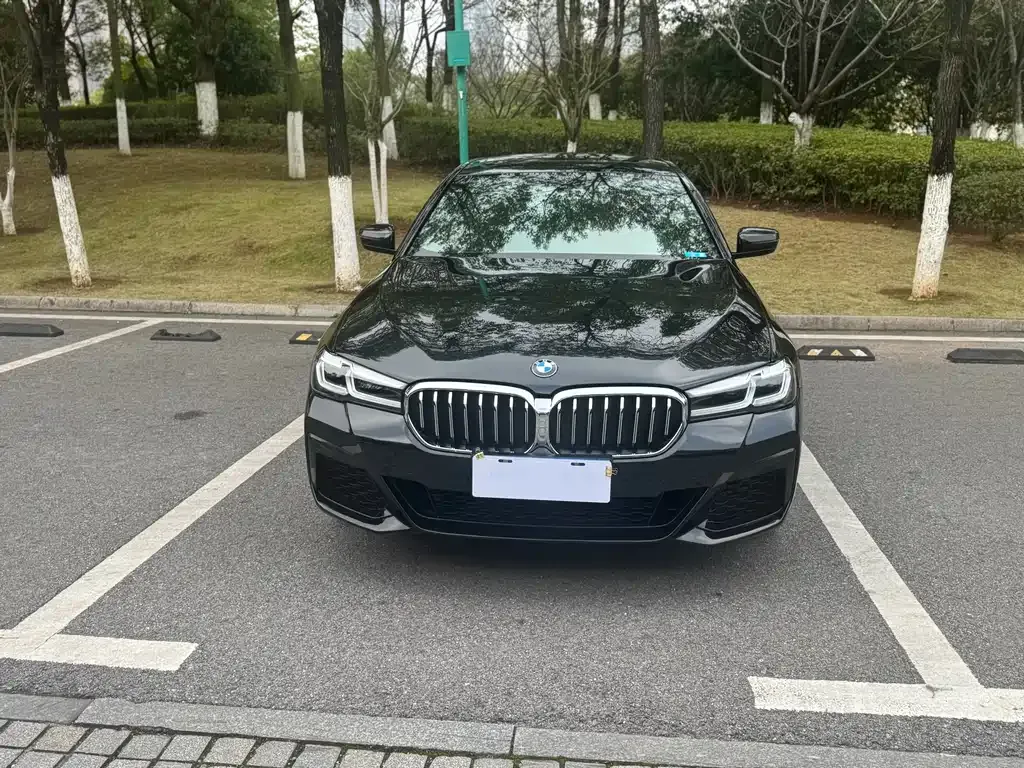 BMW 5 Series 2022 из CN, фото 9