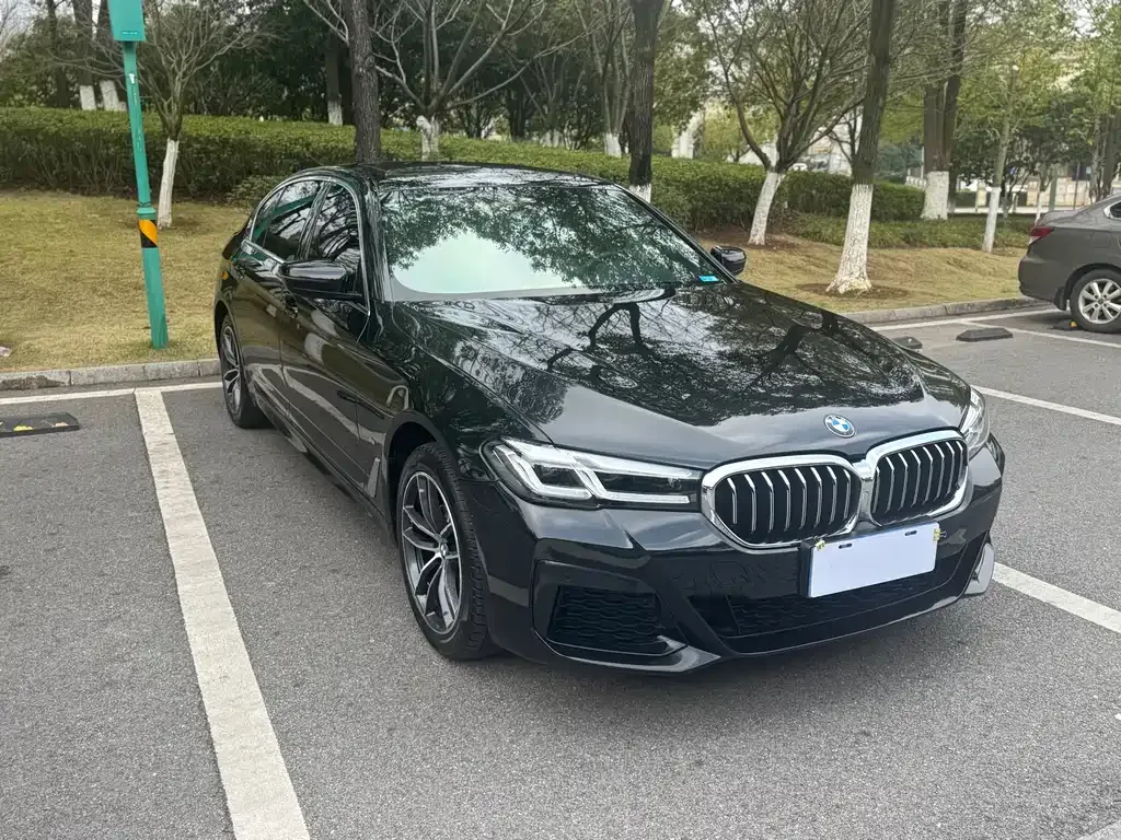 BMW 5 Series 2022 из CN, фото 10