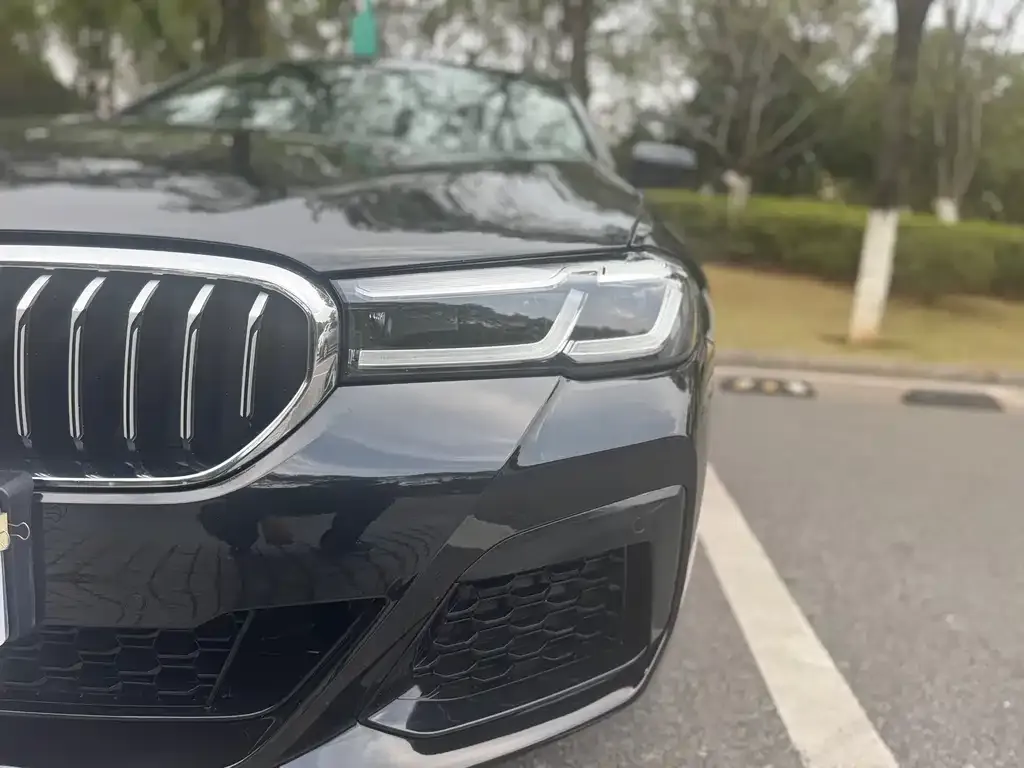 BMW 5 Series 2022 из CN, фото 7