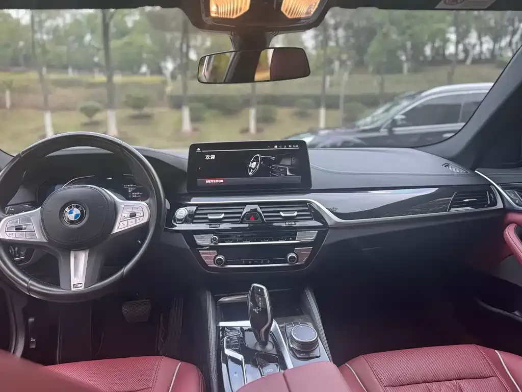 BMW 5 Series 2022 из CN, фото 3