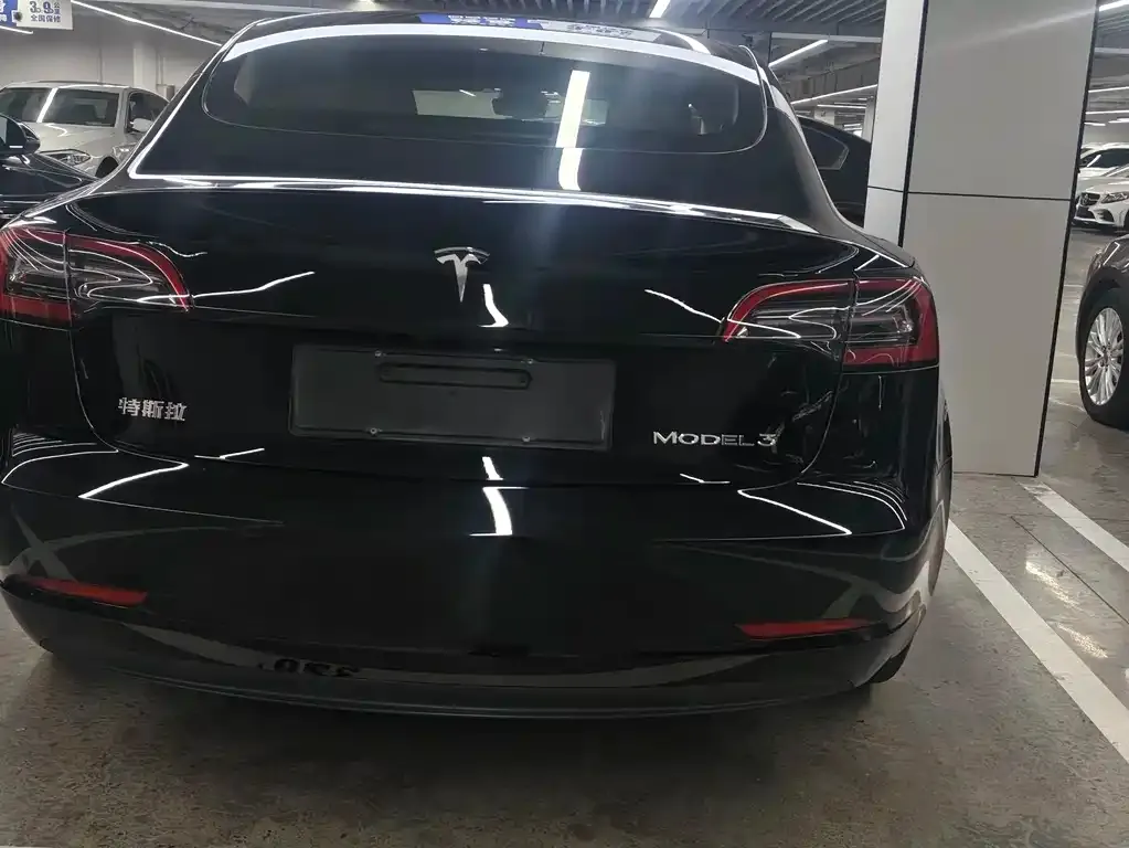 Tesla Model 3 2021 из CN, фото 6