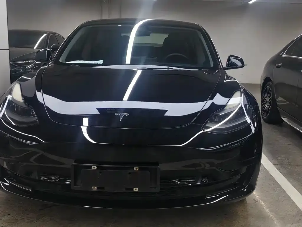 Tesla Model 3 2021 из CN, фото 2
