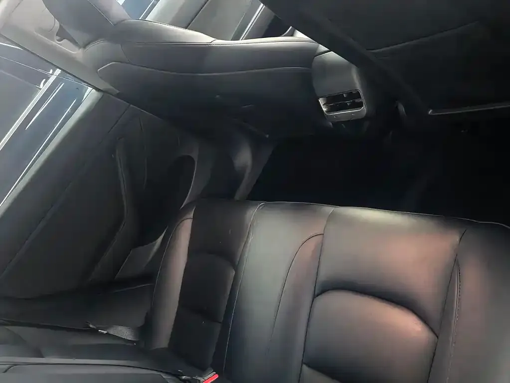 Tesla Model 3 2021 из CN, фото 3