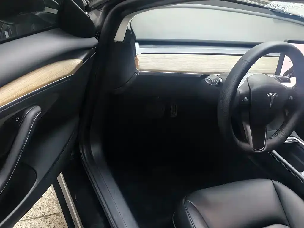 Tesla Model 3 2021 из CN, фото 5
