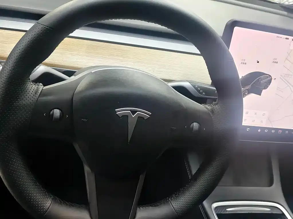 Tesla Model 3 2021 из CN, фото 9