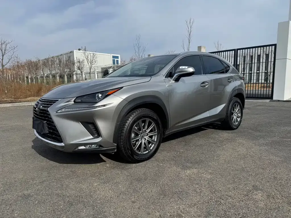 Lexus NX 2021 из CN, фото 1