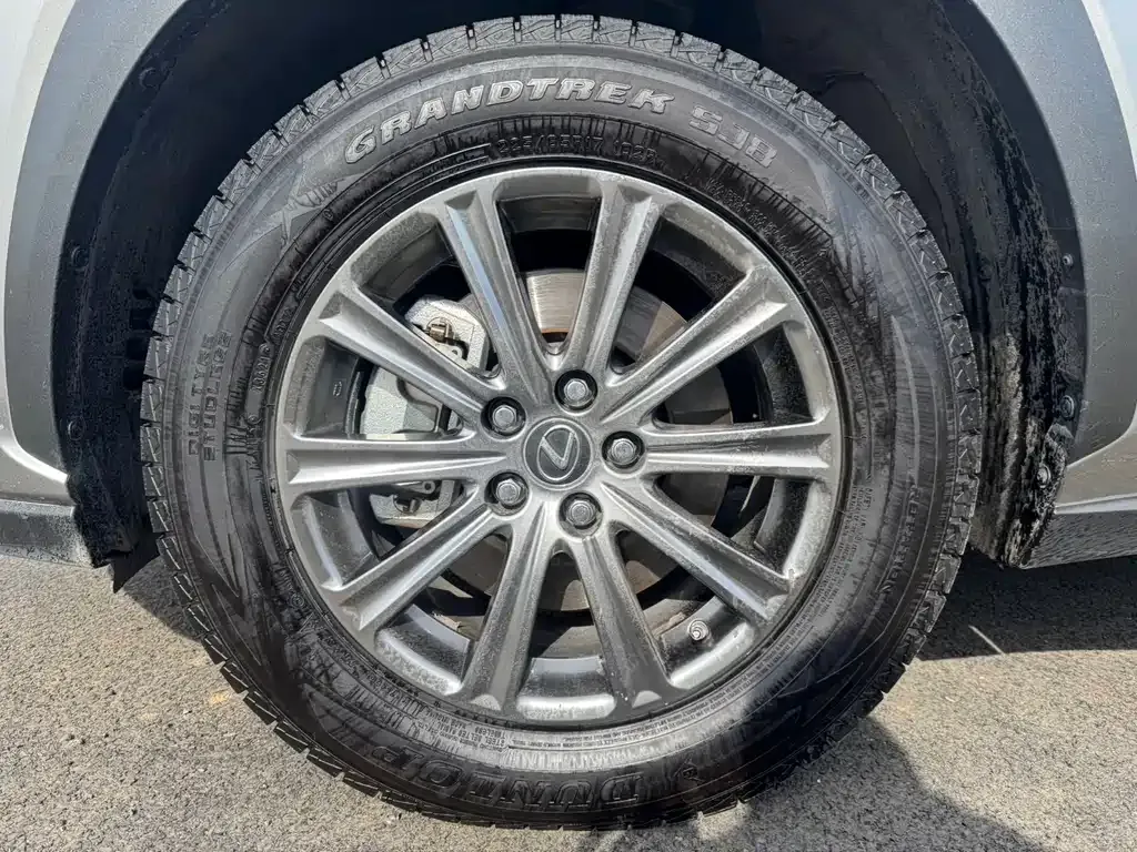 Lexus NX 2021 из CN, фото 10