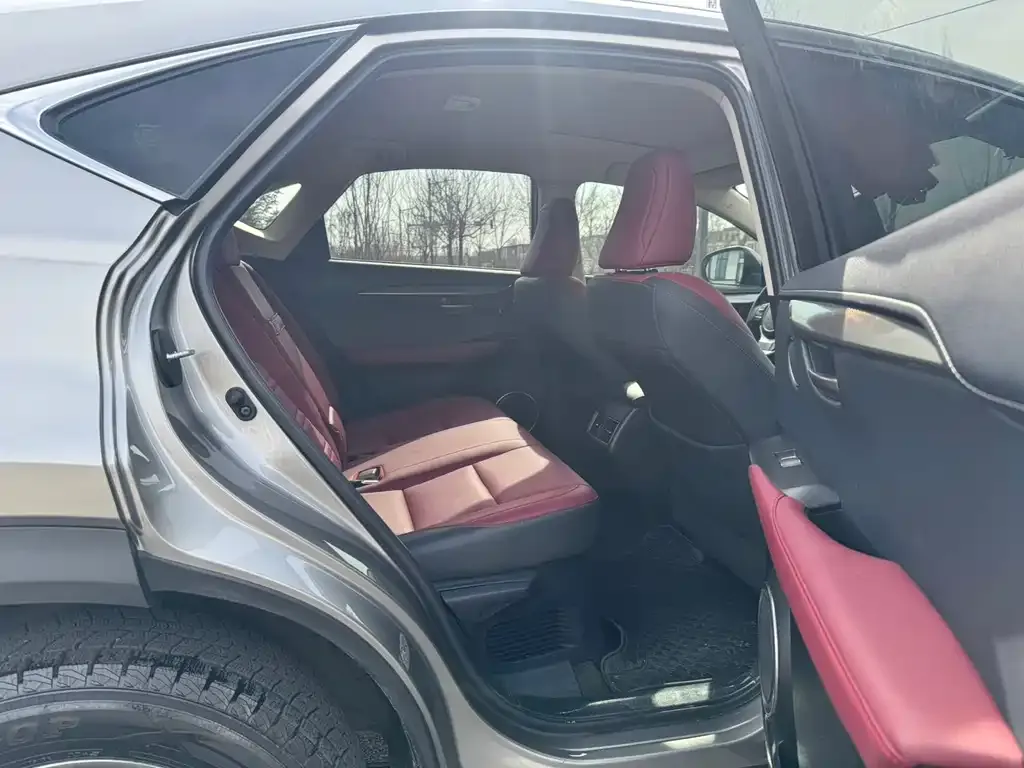 Lexus NX 2021 из CN, фото 4