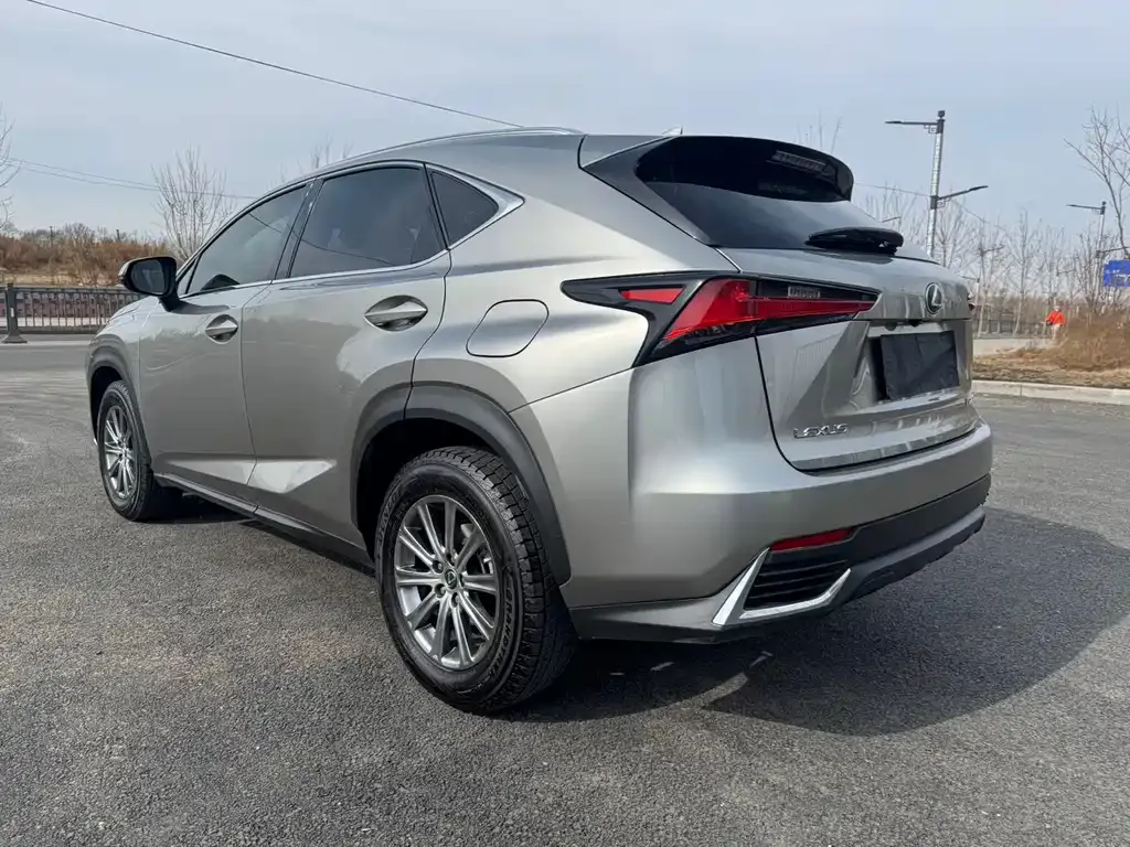 Lexus NX 2021 из CN, фото 8