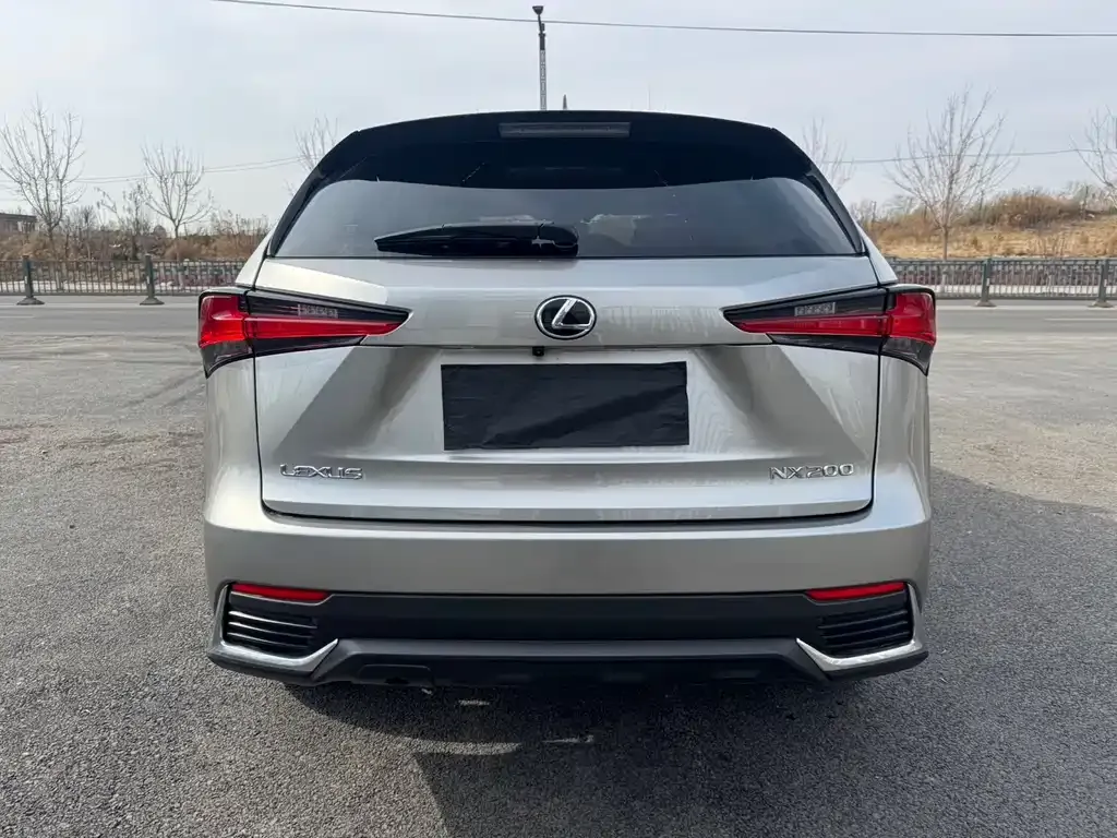 Lexus NX 2021 из CN, фото 9