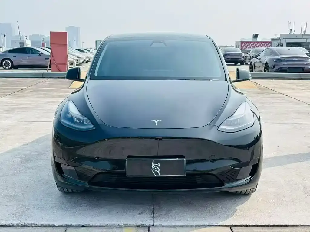 Tesla Model Y — фото 2