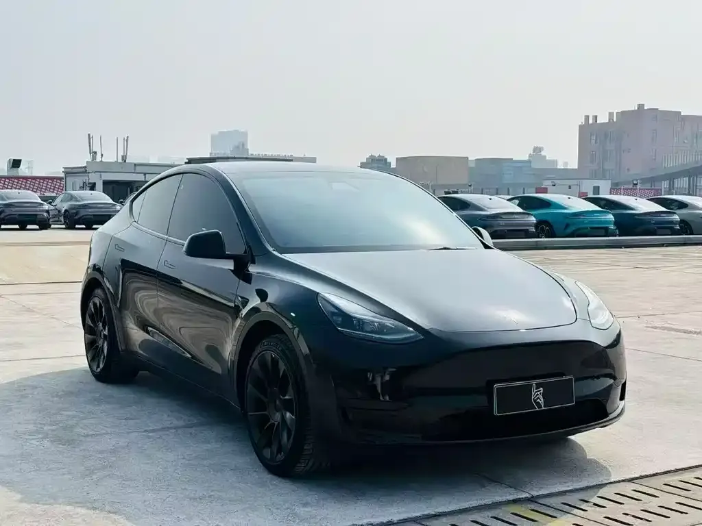 Tesla Model Y — фото 6