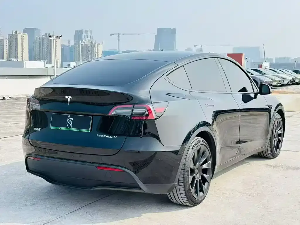 Tesla Model Y — фото 5
