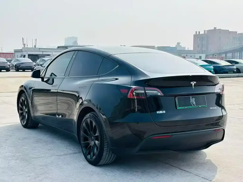 Tesla Model Y — фото 8