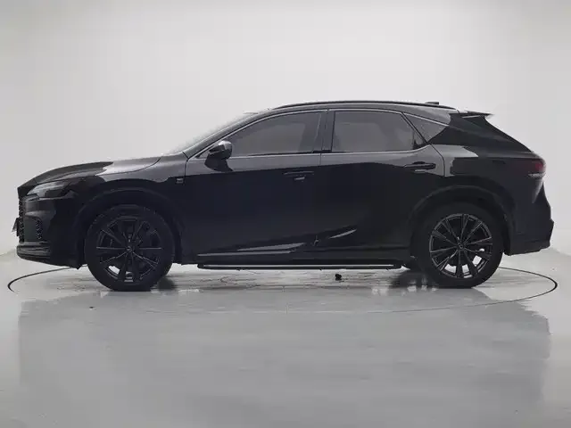 Lexus RX 2024 из CN, фото 6