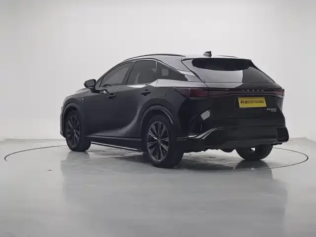 Lexus RX 2024 из CN, фото 4