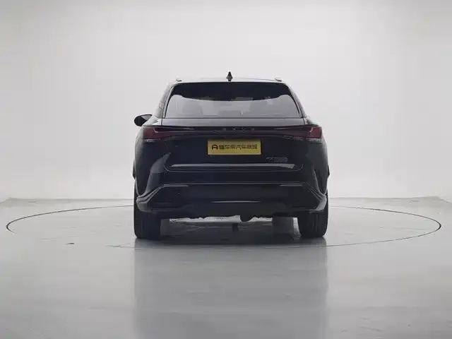 Lexus RX 2024 из CN, фото 3