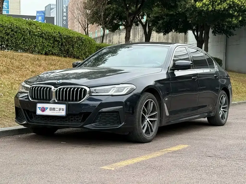 BMW 5 Series 2022 из CN, фото 1