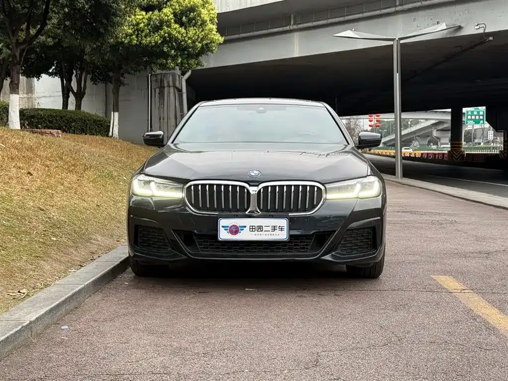 BMW 5 Series 2022 из CN, фото 9
