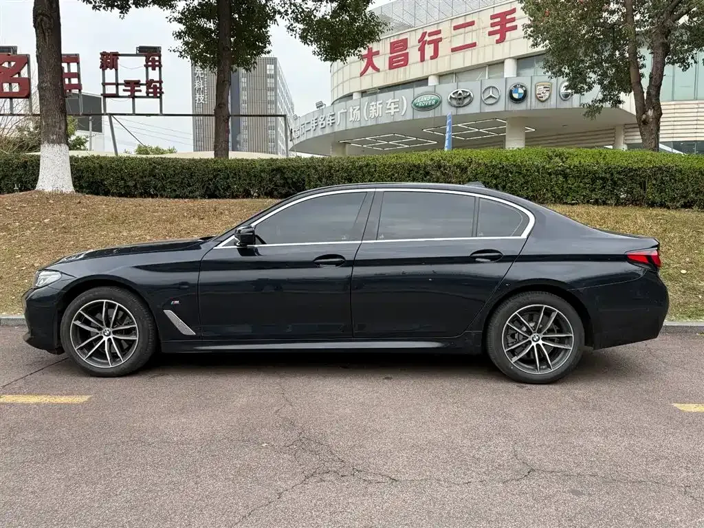 BMW 5 Series 2022 из CN, фото 7