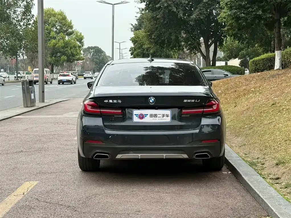 BMW 5 Series 2022 из CN, фото 8