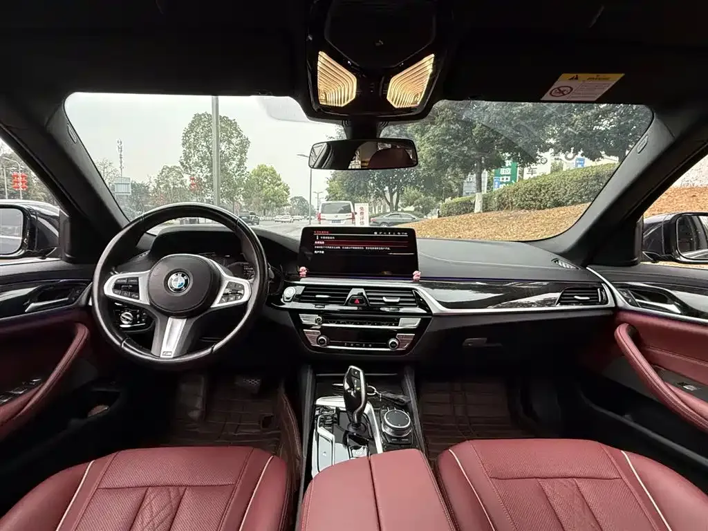 BMW 5 Series 2022 из CN, фото 3