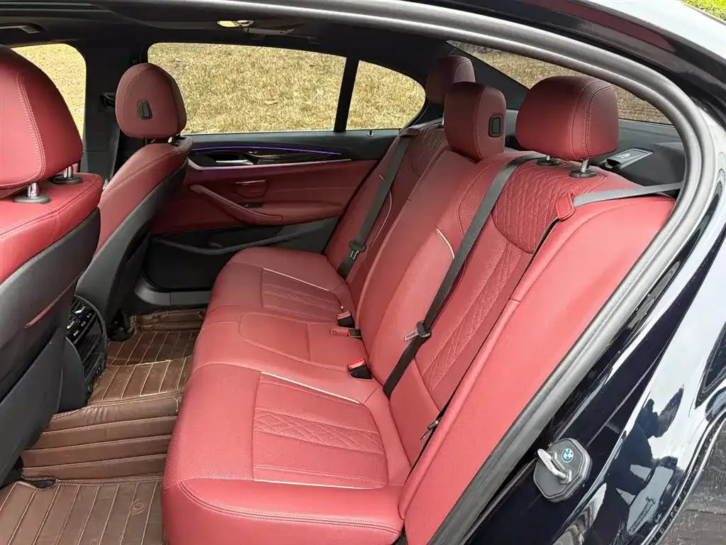BMW 5 Series 2022 из CN, фото 6