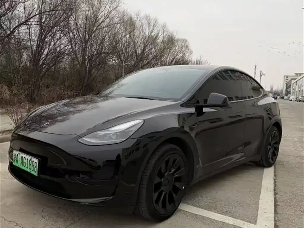 Tesla Model Y 2022 из CN, фото 1