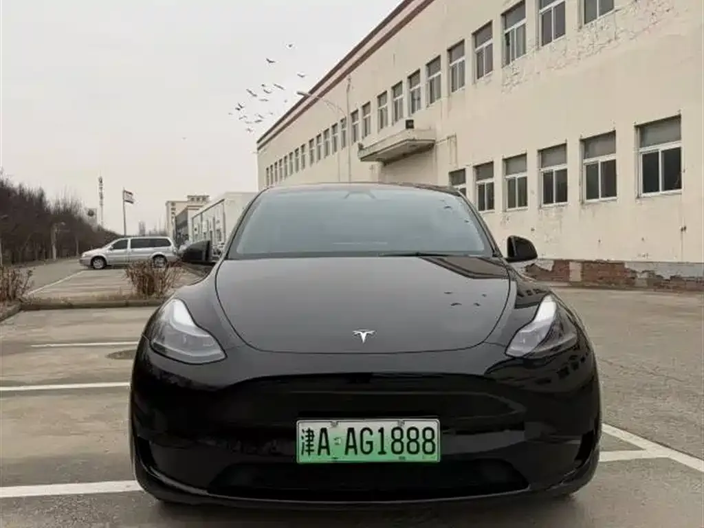 Tesla Model Y 2022 из CN, фото 7