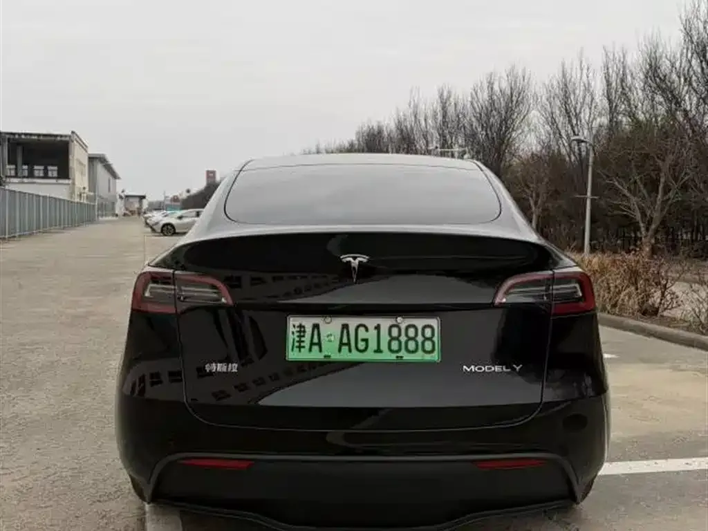 Tesla Model Y 2022 из CN, фото 5