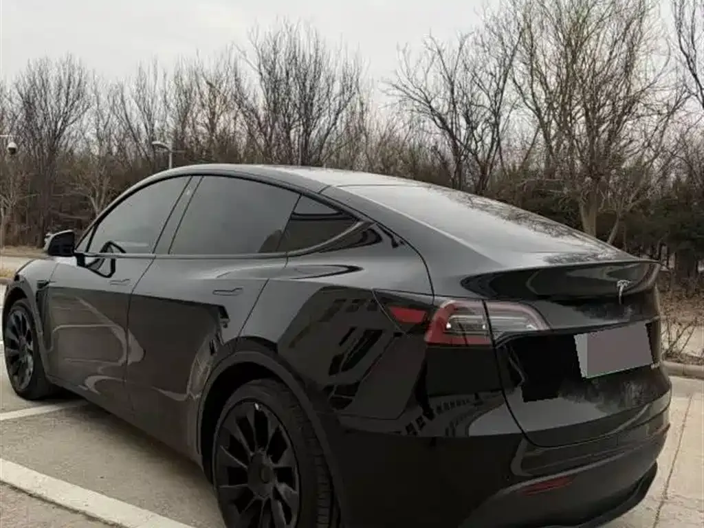 Tesla Model Y 2022 из CN, фото 6