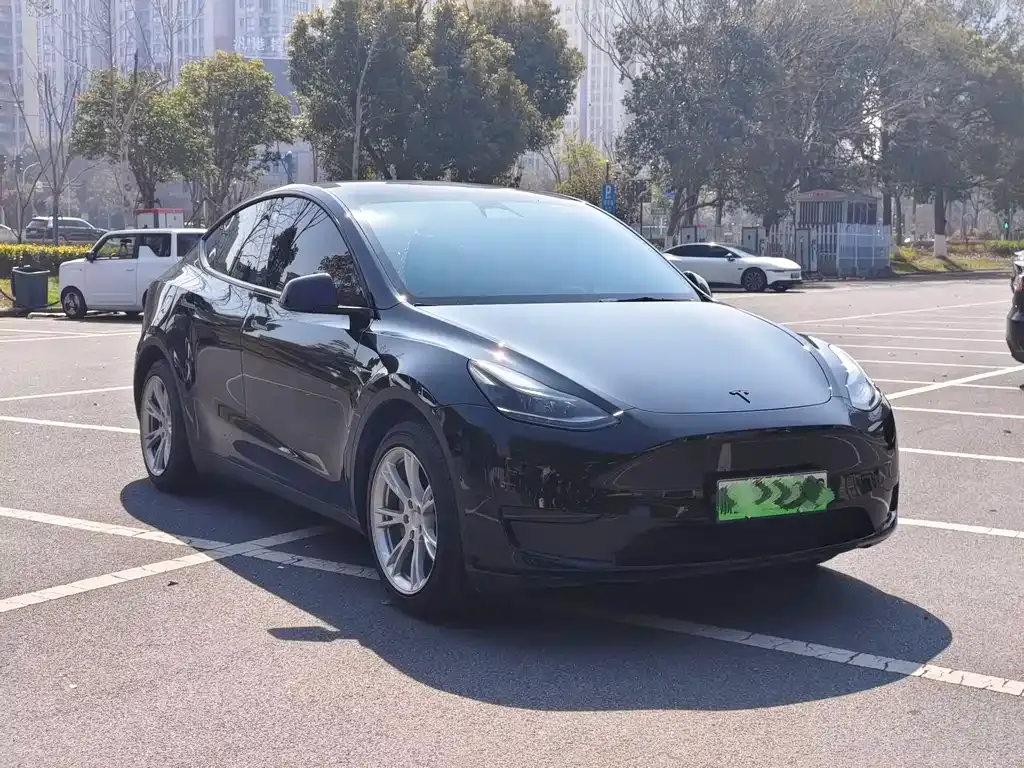 Tesla Model Y 2023 из CN, фото 5
