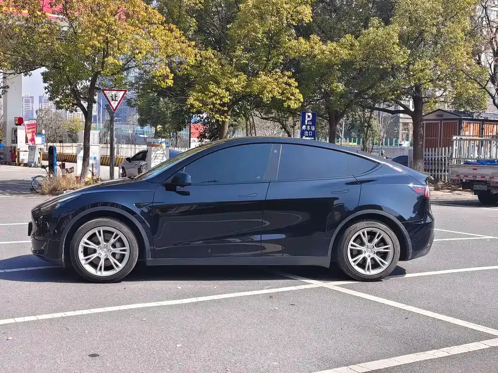 Tesla Model Y 2023 из CN, фото 7