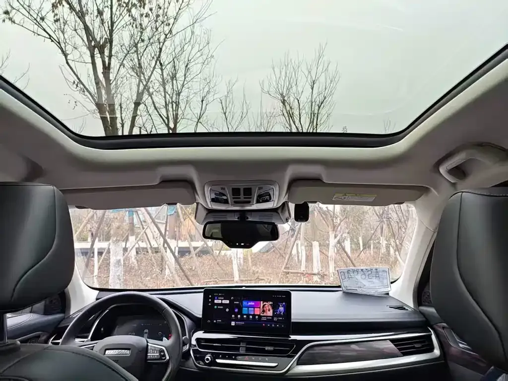 Haval H6 2023 из CN, фото 2