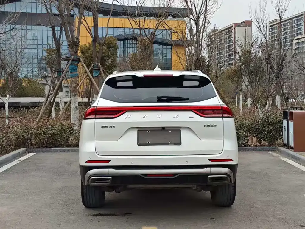Haval H6 2023 из CN, фото 7