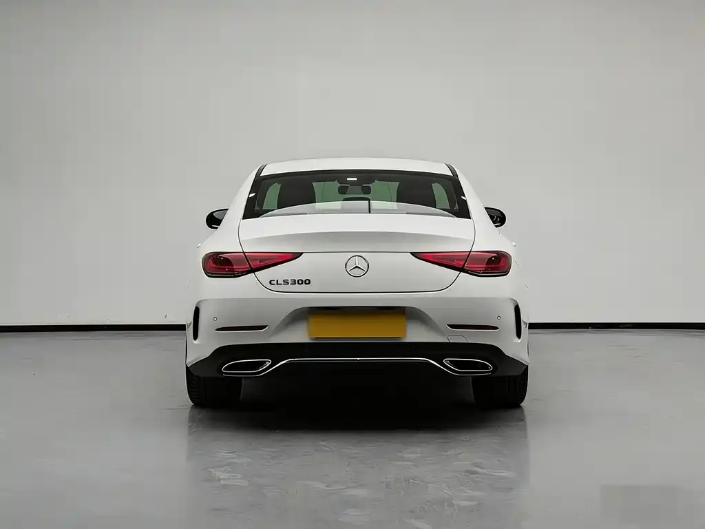 Mercedes-Benz CLS 2021 из CN, фото 7