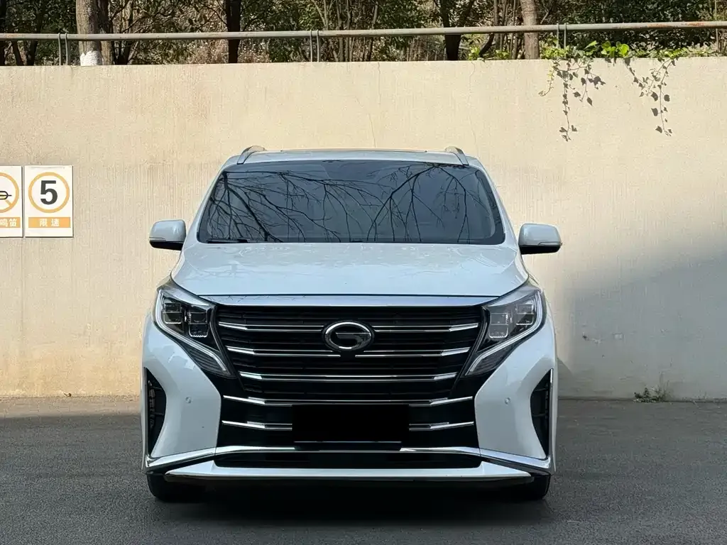 GAC Motor Trumpchi M8 2021 из CN, фото 3