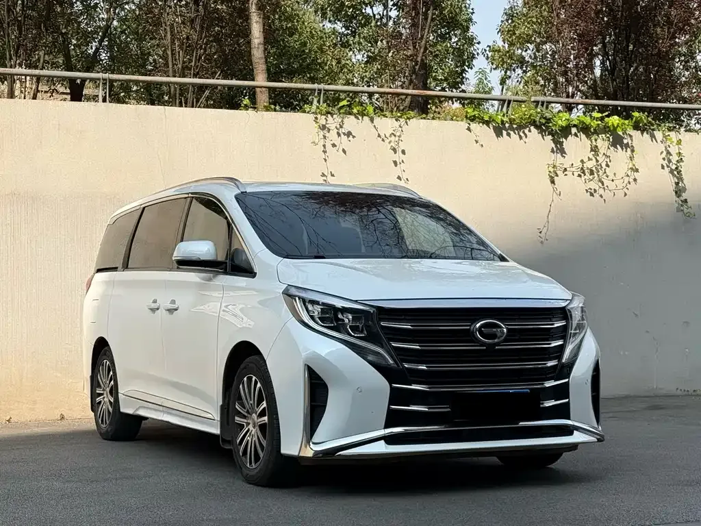 GAC Motor Trumpchi M8 2021 из CN, фото 10