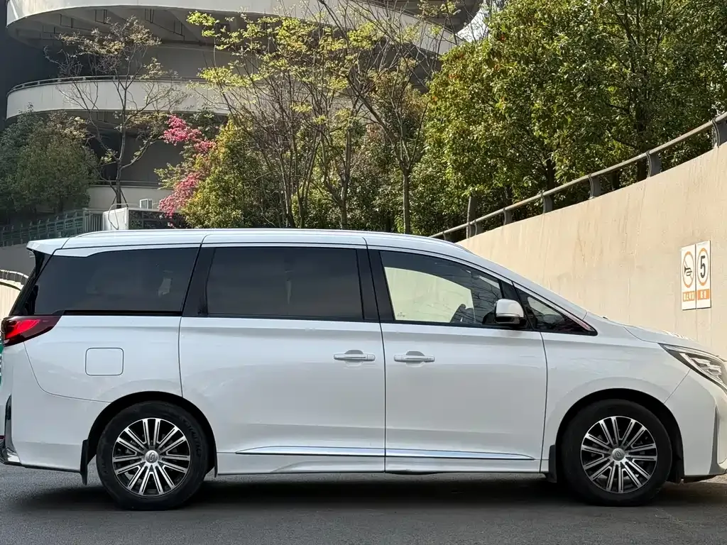 GAC Motor Trumpchi M8 2021 из CN, фото 6