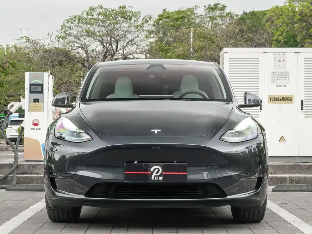 Tesla Model Y 2024 из CN, фото 6