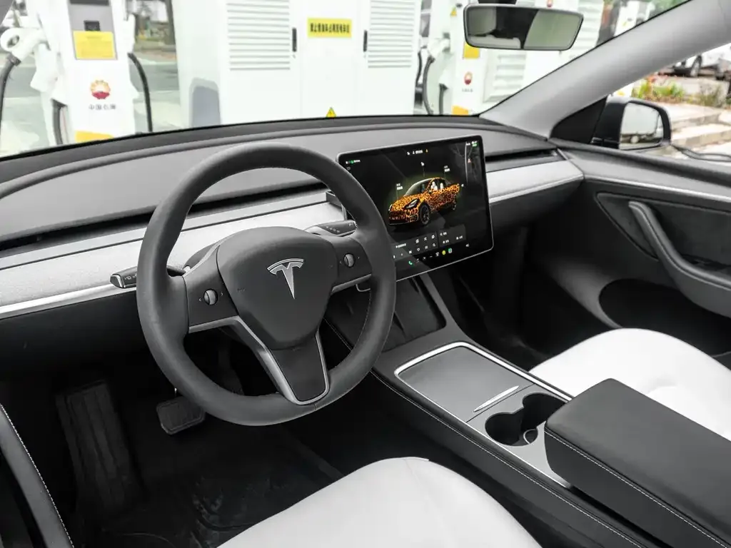 Tesla Model Y 2024 из CN, фото 5