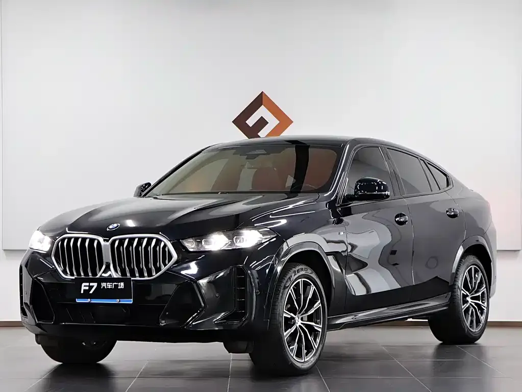 BMW X6 2023 из CN, фото 1