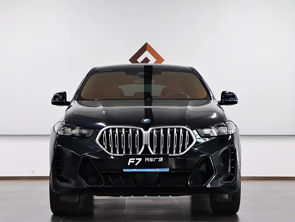 BMW X6 2023 из CN, фото 4