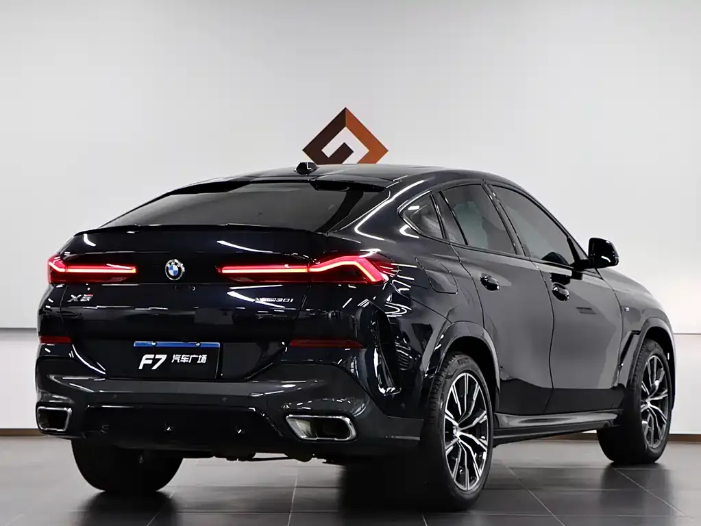 BMW X6 2023 из CN, фото 8