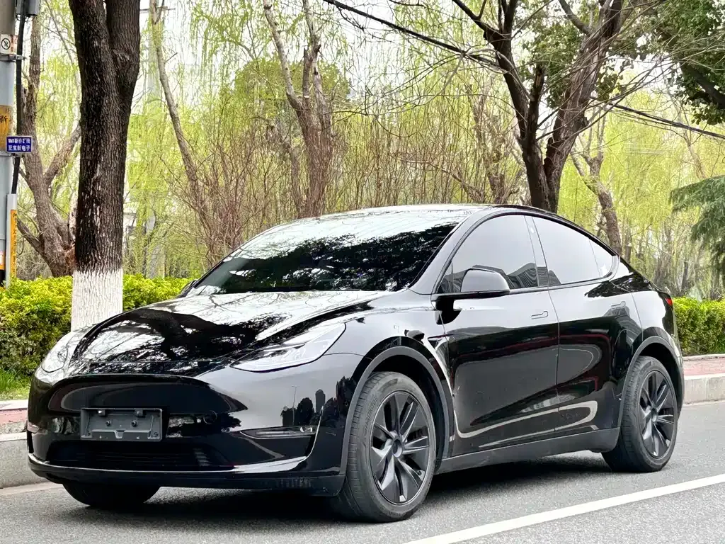 Tesla Model Y — фото 1