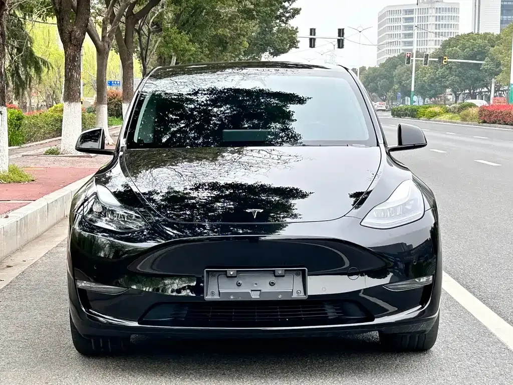 Tesla Model Y — фото 8
